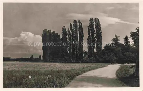 AK / Ansichtskarte Grandchamp Areuse Boudry NE Paysage