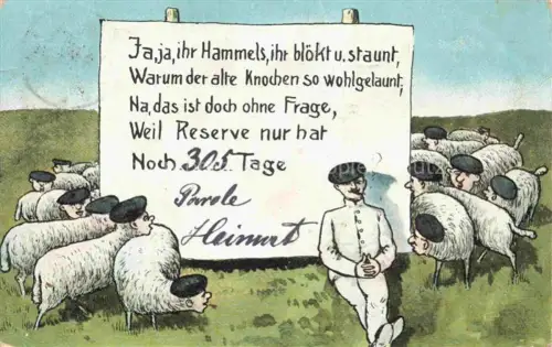 AK / Ansichtskarte Reserve-Division Militaria Schafe