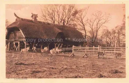 AK / Ansichtskarte Eneret Norge Dyrehaven