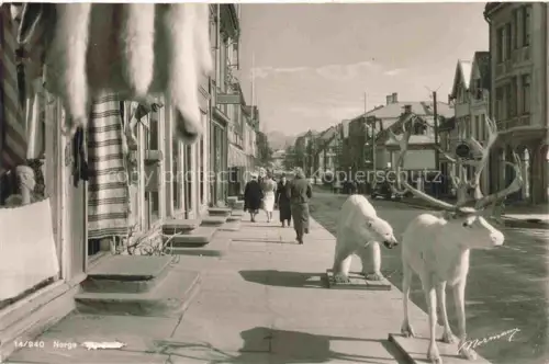 AK / Ansichtskarte Norge Norwegen Norway Strassenpartie mit Elch und Eisbaer Skulpturen