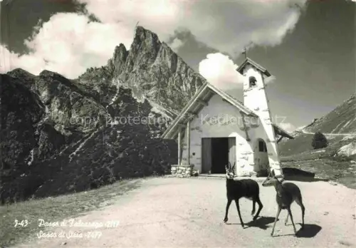 AK / Ansichtskarte Falzaregopass Passo Falzarego 2117m IT Sasso di Stria