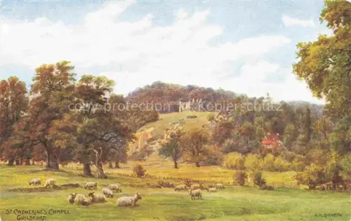 AK / Ansichtskarte Guildford Surrey UK Landschaftspanorama Schafherde St. Catherine's Chapell Kuenstlerkarte