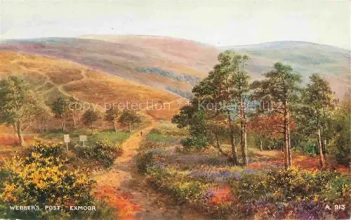 AK / Ansichtskarte Exmoor UK Landschaftspanorama Kuenstlerkarte Valentine's Postcard