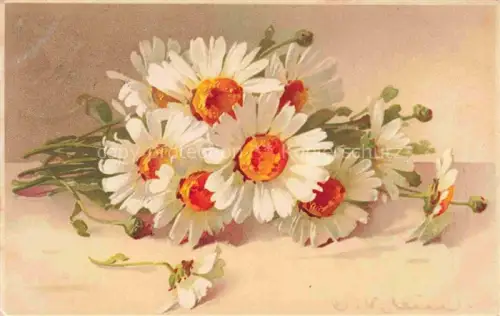 AK / Ansichtskarte Klein Catharina Kuenstlerlitho Meissner Buch Leipzig Blumen 