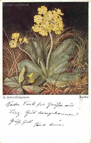 AK / Ansichtskarte HUBER-SULZEMOOS H. Kuenstlerkarte Aurikel 