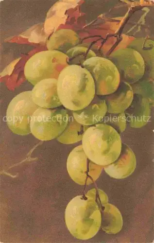 AK / Ansichtskarte Trauben Grapes Raisins Uvas Obst Fruit Frutta Fruta-- Wenau Pasteli 