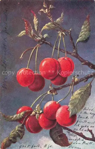 AK / Ansichtskarte Kirschen Cerises Ciliegie Cerezas Cherries Obst Fruit Frutta Fruta-- 