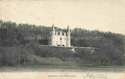 AK / Ansichtskarte Ormeaux Chateau Nazelles-Negron TOURS 37 Indre-et-Loire Château Schloss