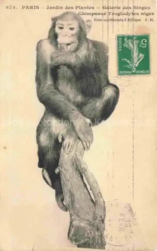 AK / Ansichtskarte Affen Paris Jardin des Plantes