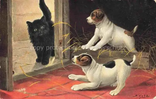 AK / Ansichtskarte Verlag Tucks Oilette Serie Nr. 900 p Hunde Katze Schwarz 