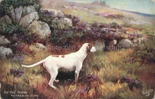 AK / Ansichtskarte Verlag Tucks Oilette Serie Nr. 9327 Hunde On the Moors  