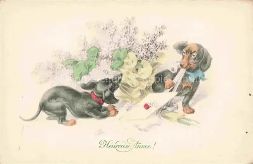 AK / Ansichtskarte Dackel Dachshund Teckel Hunde dogs Chiens Cani Neujahr Nouvelle Annee Litho