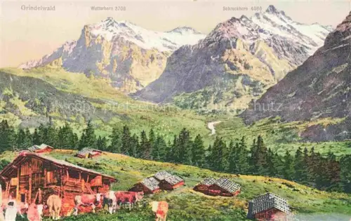 AK / Ansichtskarte Grindelwald BE Wetterhorn Schreckhorn