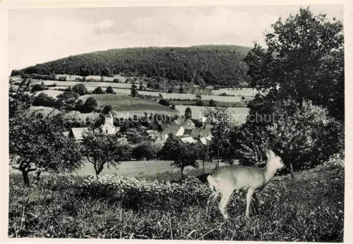 AK / Ansichtskarte Weickersgrueben Main Graefendorf Bayern Ortsansicht mit Kirche Reh Gasthaus Pension zum gruenen Baum