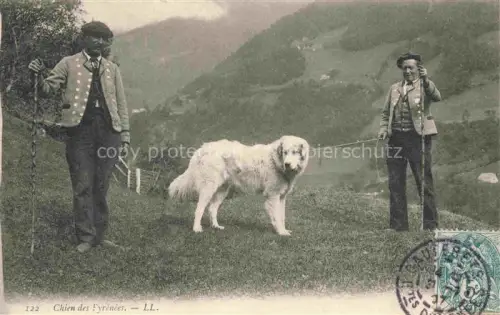 AK / Ansichtskarte HUNDE dogs chiens-- Landwirtschaft Chien des Fyrenees
