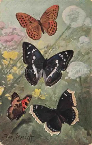 AK / Ansichtskarte Schmetterlinge Litho Aug. Sprecht 