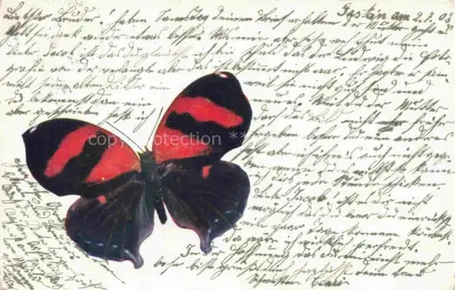 AK / Ansichtskarte Schmetterlinge Litho