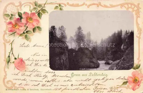 AK / Ansichtskarte Lichtensteig Toggenburg SG Landschaftspanorama