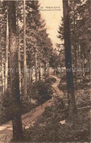 AK / Ansichtskarte Trois-Epis Drei-aehren 68 Haut-Rhin Promenade en Foret