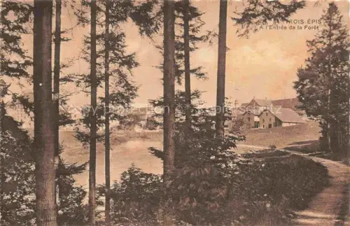 AK / Ansichtskarte Trois-Epis Drei-aehren 68 Haut-Rhin Entree de la Foret