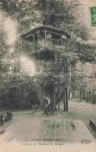 AK / Ansichtskarte Limeil-Brevannes 94 Val-de-Marne L'Arbre de Madame de Sévigné