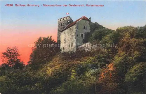 AK / Ansichtskarte Schloss Habsburg Brugg AG Stammschloss des oesterreichischen Kaiserhauses