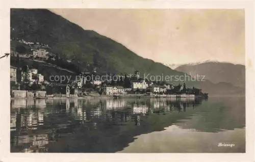 AK / Ansichtskarte Brissago Lago Maggiore TI Panorama