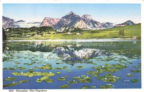 AK / Ansichtskarte Obertoggenburg Schwendisee