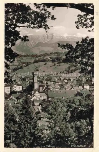 AK / Ansichtskarte Immenstadt Allgaeu Panorama