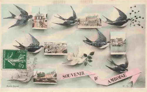 AK / Ansichtskarte Amboise TOURS 37 Indre-et-Loire Souvenir de la ville Briefschwalben