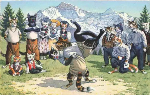AK / Ansichtskarte Vermenschlicht Humanises-- Katzen Kampf Schneebergen Schweiz  