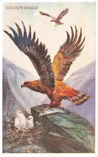 AK / Ansichtskarte Adler Eagle Aigle Aguila-- Golden Dundee London 