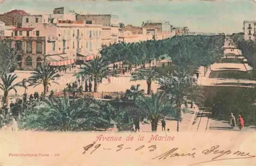 AK / Ansichtskarte TUNIS Tunesie Avenue de la Marine