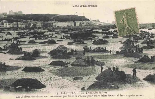 AK / Ansichtskarte CANCALE Saint-Malo 35 Ille-et-Vilaine Le Triage des huitres
