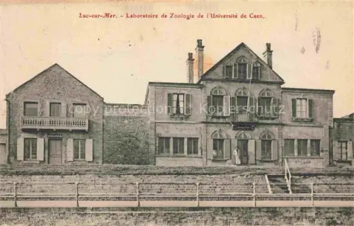 AK / Ansichtskarte LUC-SUR-MER CAEN 14 Calvados Laboratoire de Zoologie de l'Université de Caen