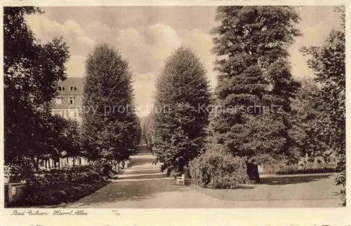 AK / Ansichtskarte Bad Eilsen Schaumburg Niedersachsen Haarl Allee