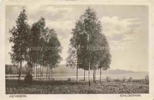 AK / Ansichtskarte Ascheberg  Westfalen Coesfeld NRW Schlosspark