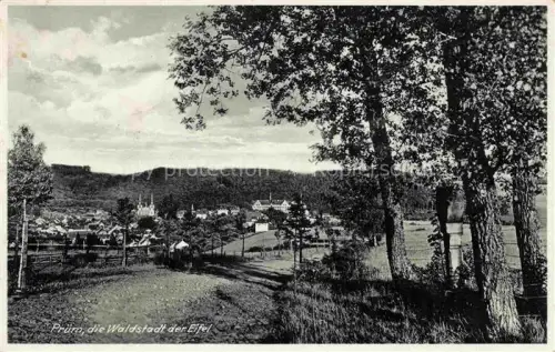 AK / Ansichtskarte Pruem Eifel Rheinland-Pfalz Panorama
