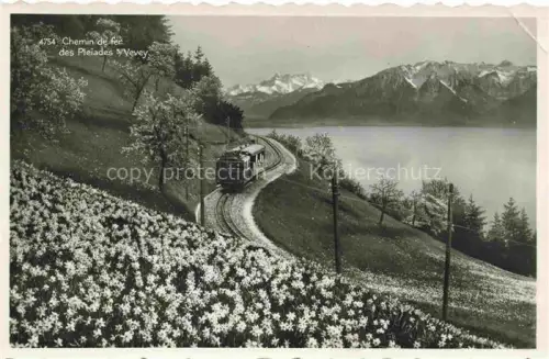AK / Ansichtskarte Pleiades Les Chatel-St-Denis Vevey VD Chemin de fer Panorama