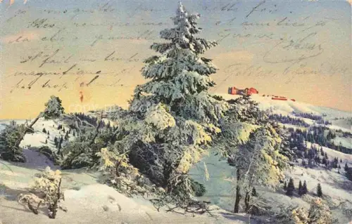 AK / Ansichtskarte Rigi Kulm 1798m SZ Winteridyll