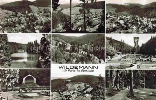 AK / Ansichtskarte Wildemann Harz Teilansichten Panorama Seepartie Kurkonzert 