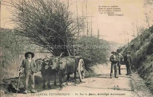 AK / Ansichtskarte Landwirtschaft Agriculturo Agriculture-- Kuehe le Cantal pittoresque 