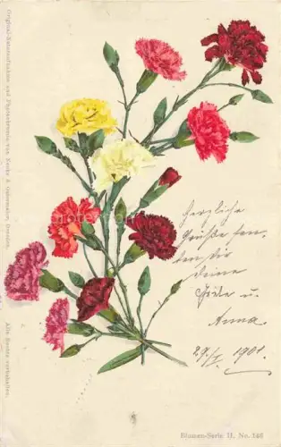 AK / Ansichtskarte Nenke & Ostermaier Verlag Litho Nr. 146 Blumen Serie 11