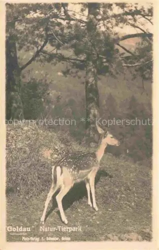 AK / Ansichtskarte Goldau Arth SZ Natur Tierpark Rehkitz