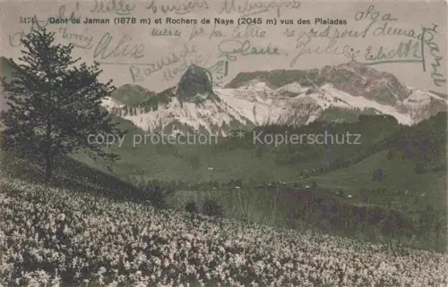 AK / Ansichtskarte Dent de Jaman 1875m Montreux VD et Rochers de Naye vus des Pleiades