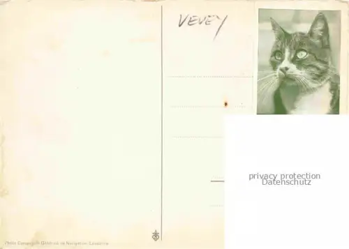 AK / Ansichtskarte VEVEY VD Ausflugsdampfer am Genfer See