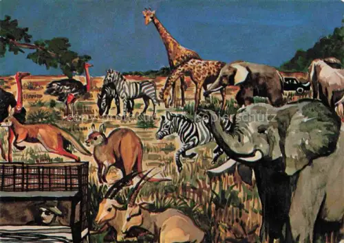 AK / Ansichtskarte Wallerstaedten Raubtier und Grosswild Safari