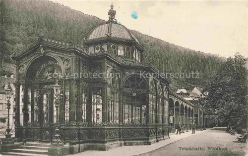 AK / Ansichtskarte WILDBAD  Schwarzwald Trinkhalle