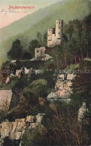AK / Ansichtskarte Neckarsteinach Burg