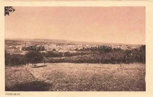 AK / Ansichtskarte Rosheim Molsheim Alsace 67 Bas-Rhin Panorama